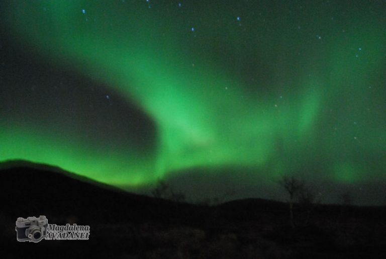 Aurora boreală